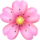 櫻井颯人